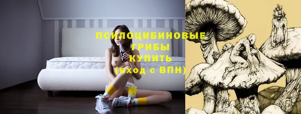 мяу мяу мука Лабытнанги