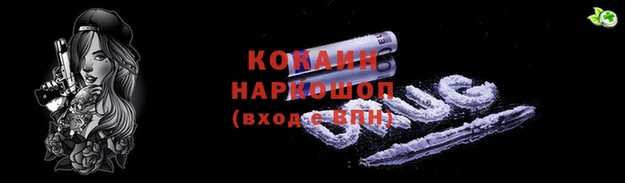 мяу мяу мука Лабытнанги