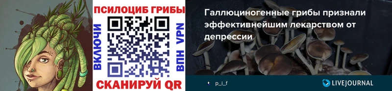 где купить наркоту Лосино-Петровский Псилоцибиновые грибы Psilocybine cubensis